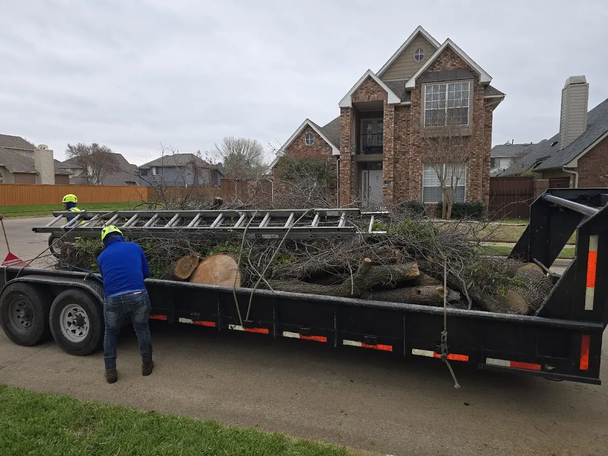 Expert Tree Pest Control with proper safety equipment in Brodhead